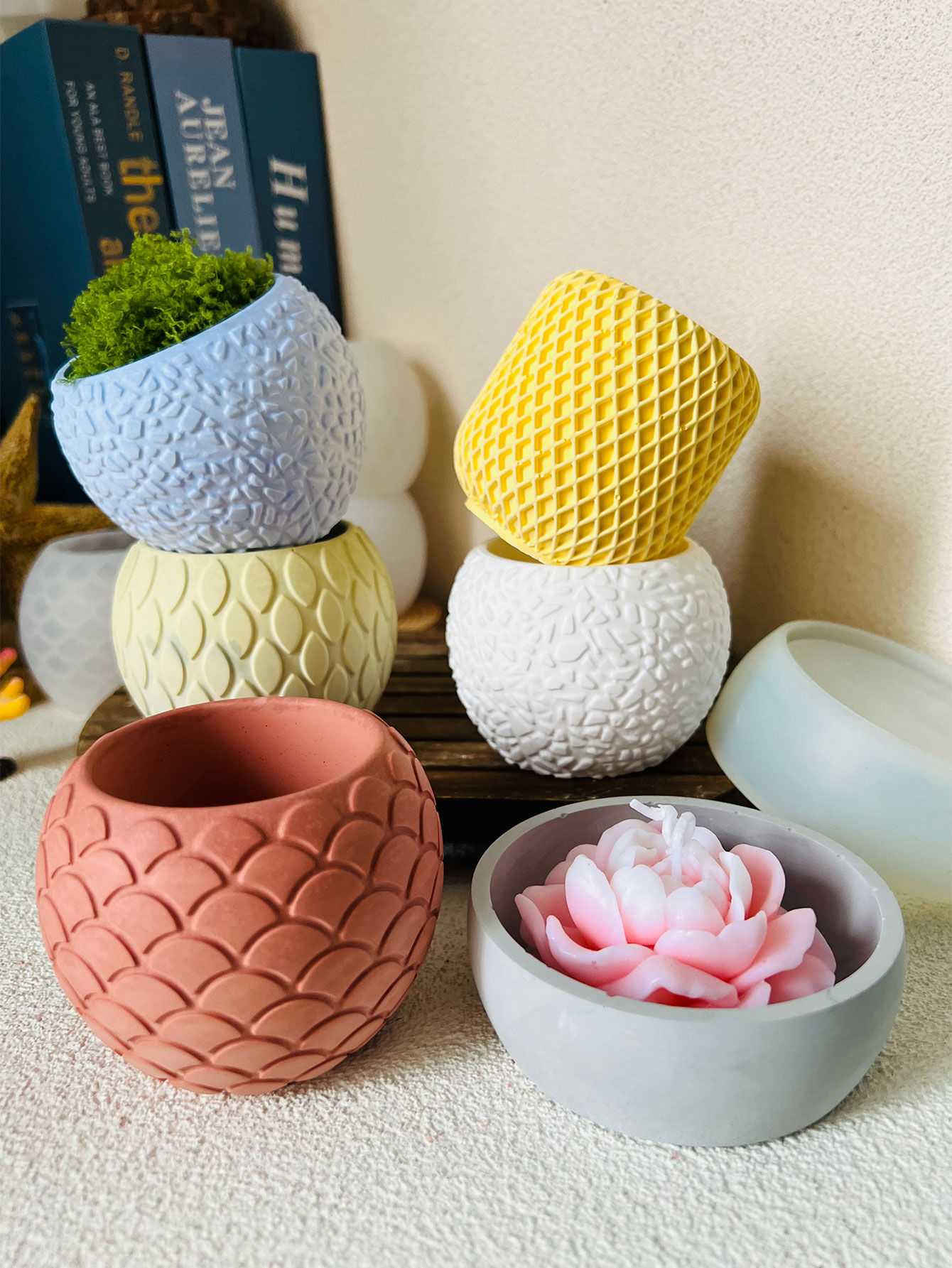 Moule en silicone à motif d'éc - Potsticker Mold avis et prix