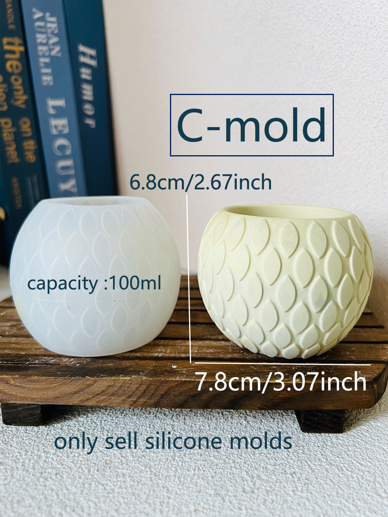 Moule en silicone à motif d'éc - Potsticker Mold avis et prix